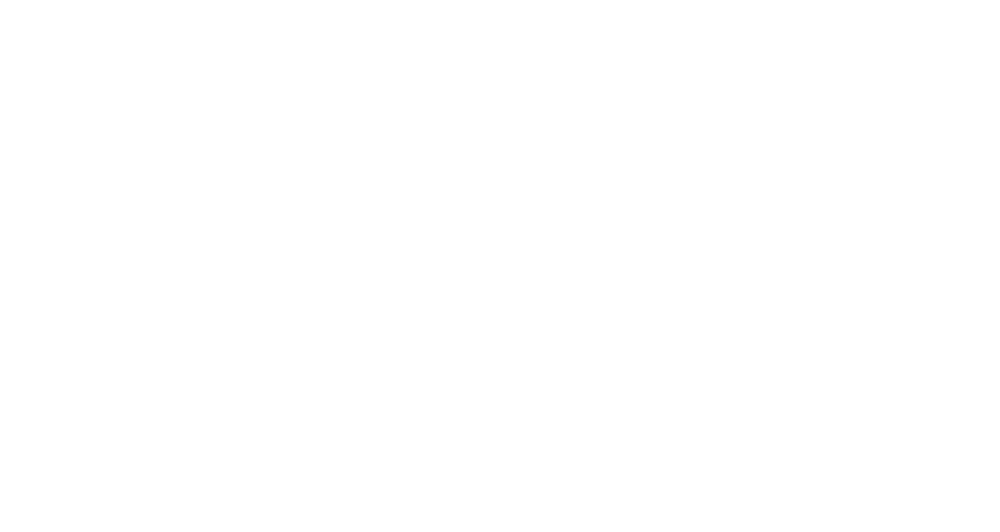 seta